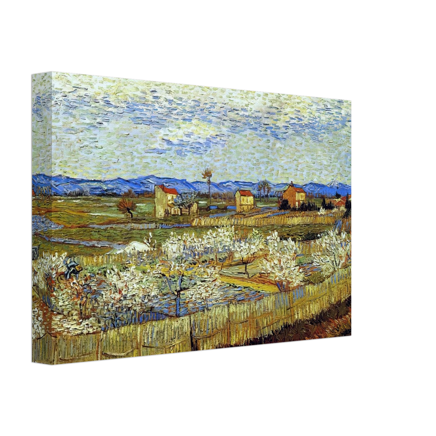 Vincent van Gogh - Peach Trees in Blossom Canvas - 40x60 cm / 16x24 inches-canvas