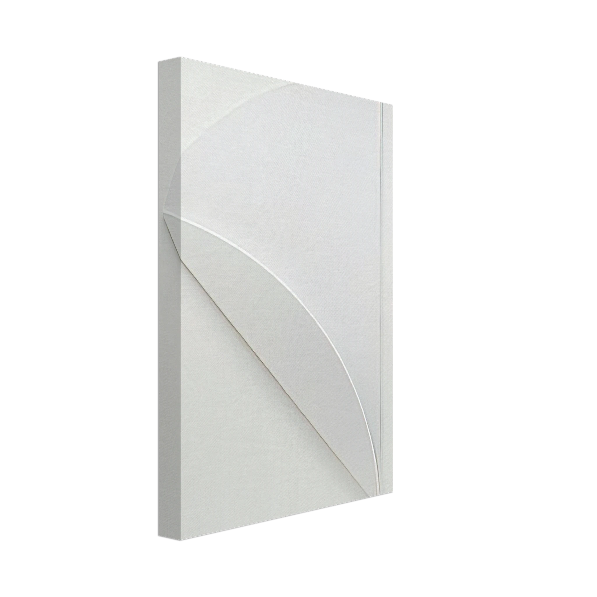 Ellsworth Kelly - White Relief over White Canvas - 70x100 cm / 28x40 inches-canvas