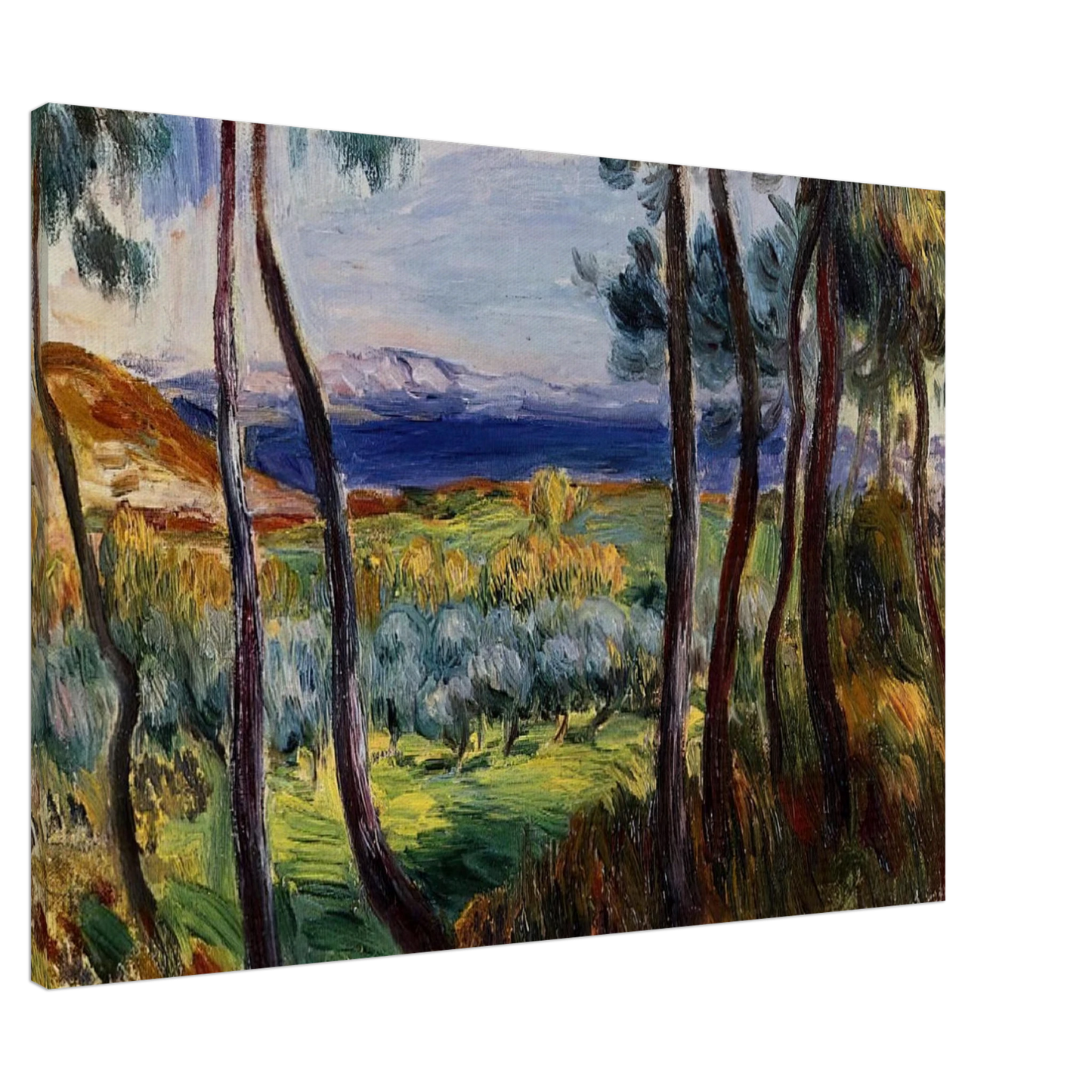 Pierre-Auguste Renoir - Pines in the Vicinity of Cagnes Canvas - 20x30 cm / 8x12 inches-canvas
