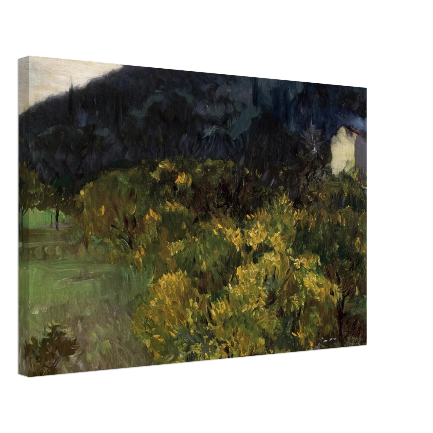 John Singer Sargent - Landscape near Grasse Canvas - 70x100 cm / 28x40 inches-canvas