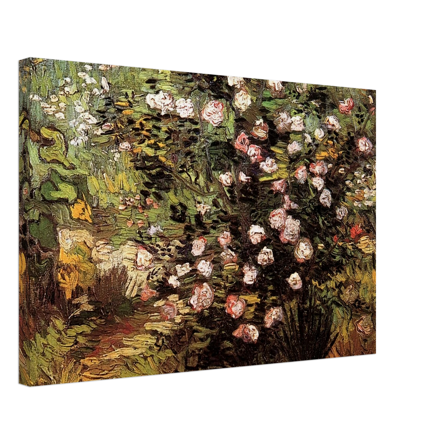 Vincent van Gogh - Rosebush in Blossom Canvas - 70x100 cm / 28x40 inches-canvas