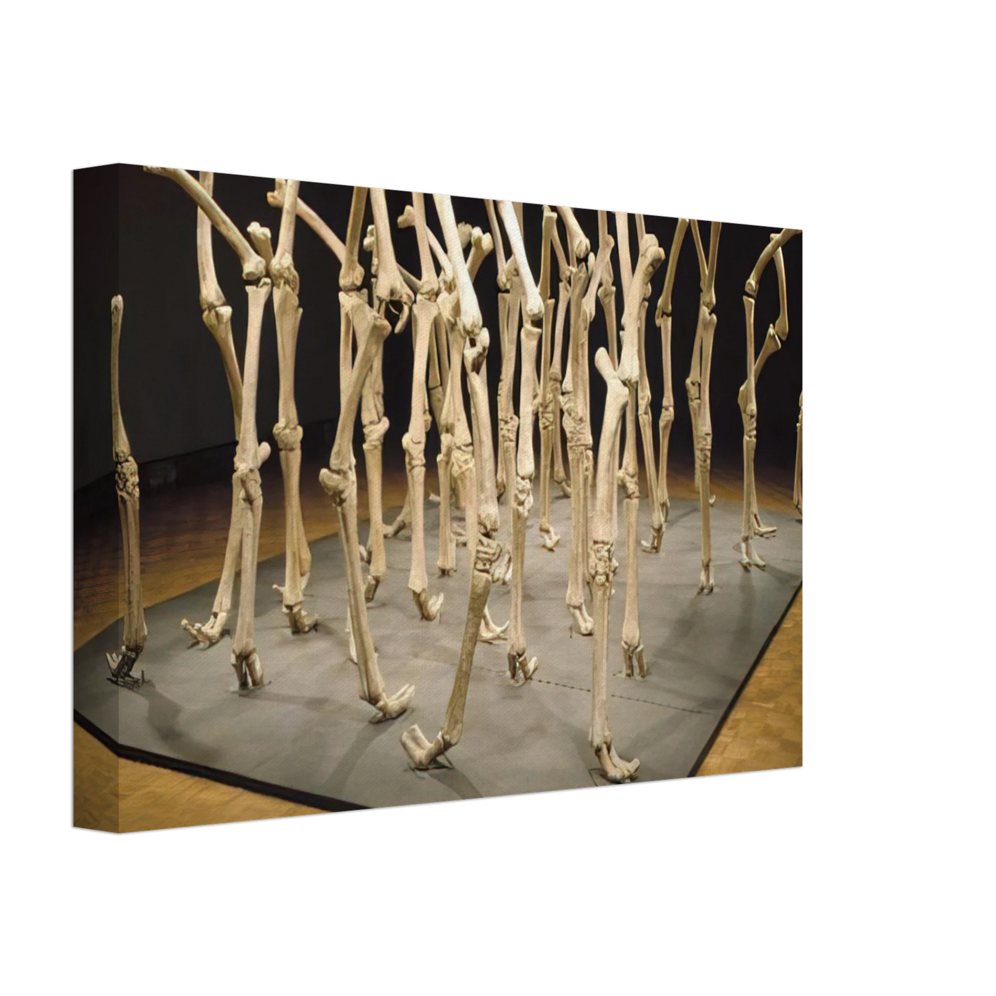 Nancy Graves - VARIABILITY OF SIMILAR FORMS 1970 Canvas - 70x100 cm / 28x40 inches-canvas