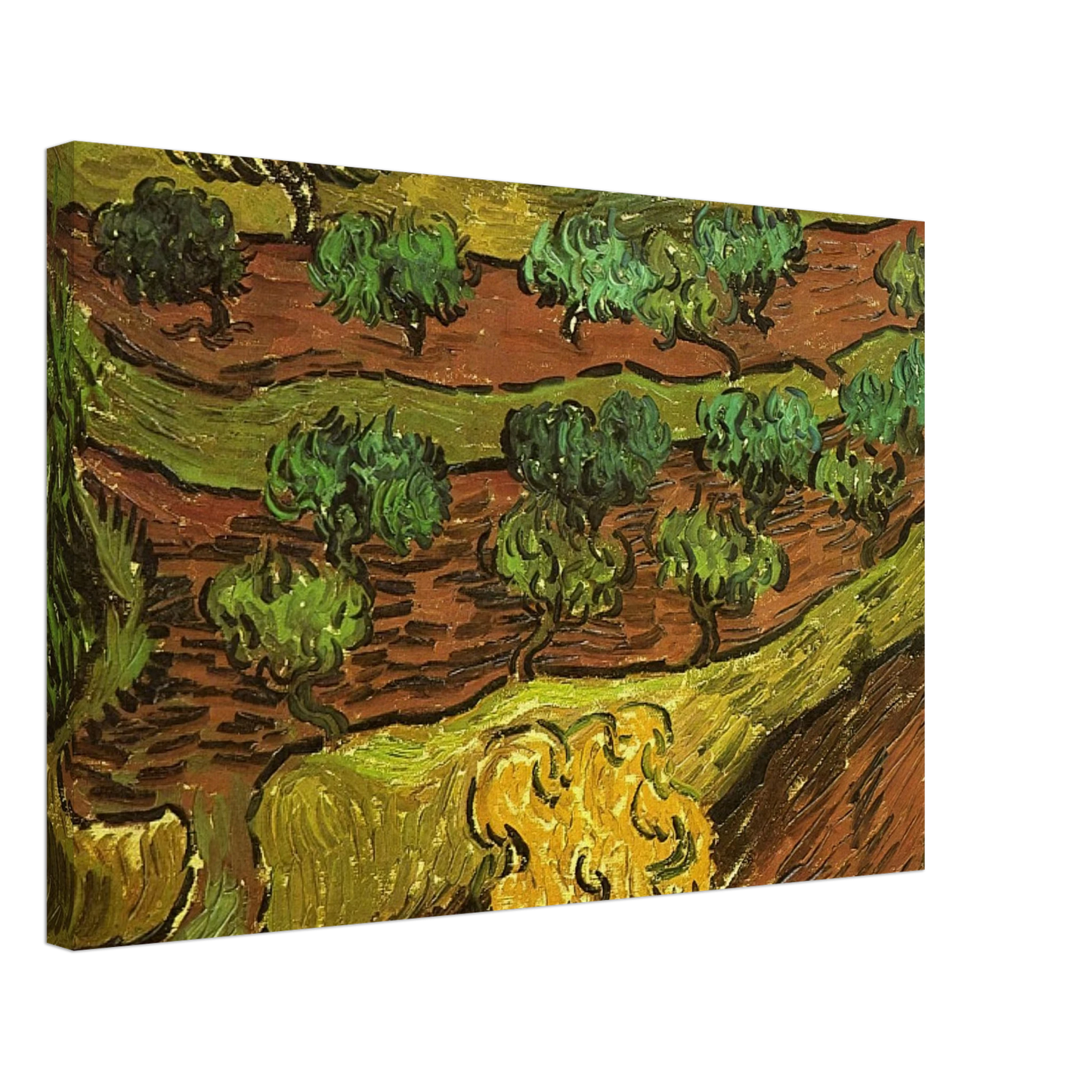 Vincent van Gogh - Olive Trees against a Slope of a Hill Canvas - 70x100 cm / 28x40 inches-canvas