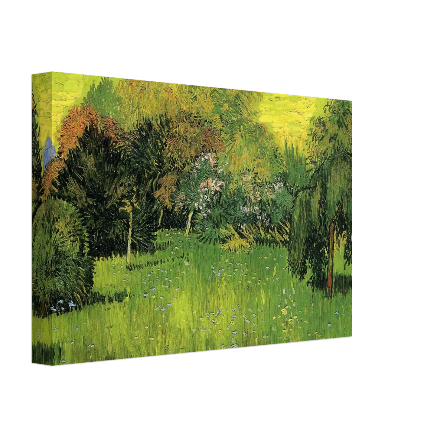Vincent van Gogh - Public Park with Weeping Willow The Poet s Garden I Canvas - 40x60 cm / 16x24 inches-canvas