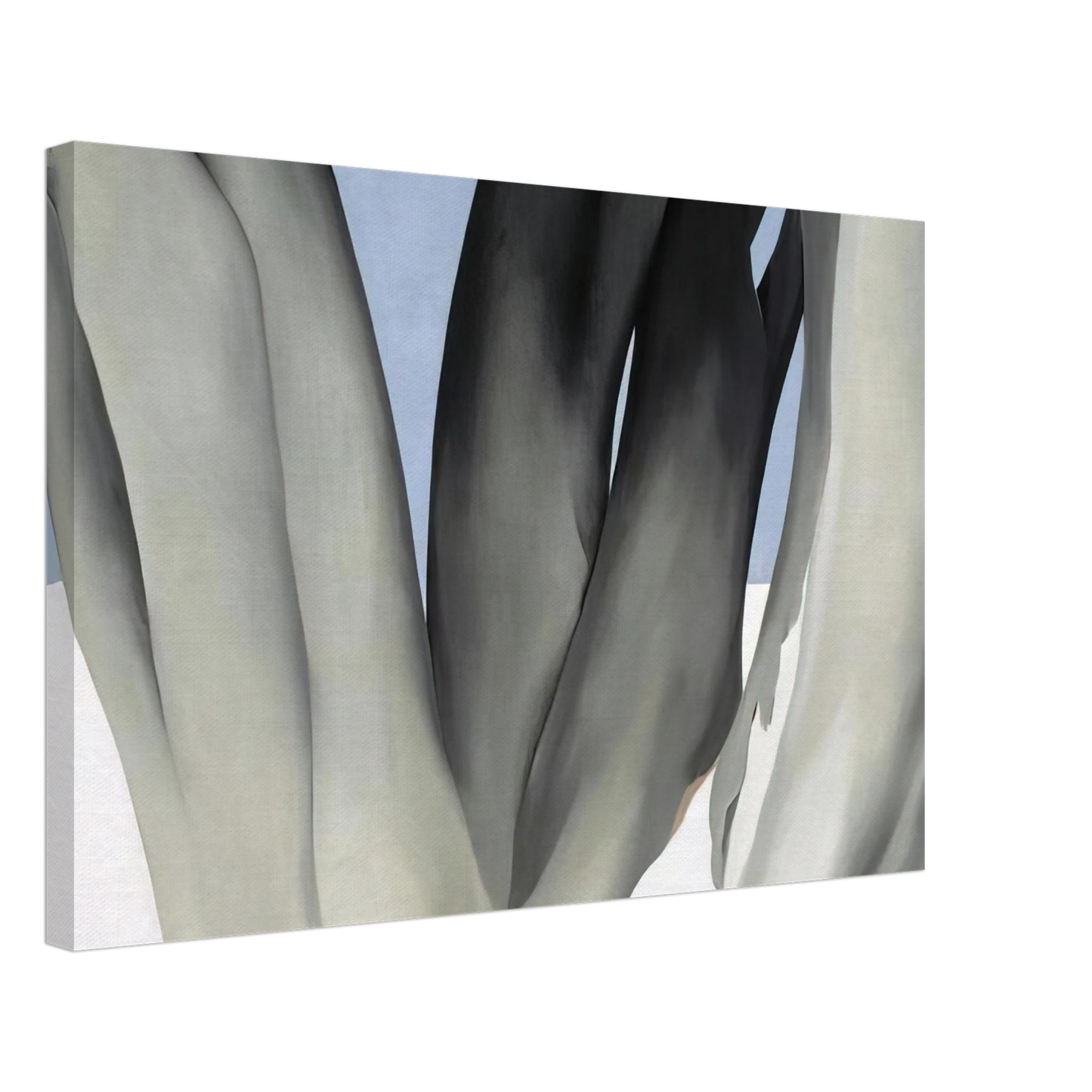 Georgia O'Keeffe - Bare Tree Trunks with Snow Canvas - 70x100 cm / 28x40 inches-canvas