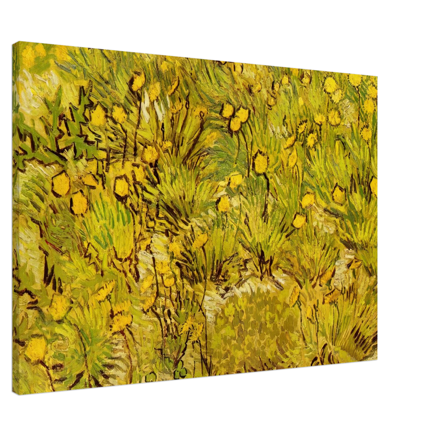 Vincent van Gogh - A Field of Yellow Flowers Canvas - 20x30 cm / 8x12 inches-canvas