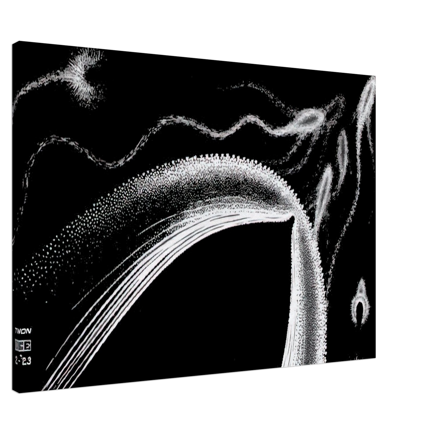 MC Escher - DOLPHINS Canvas - 20x30 cm / 8x12 inches-canvas