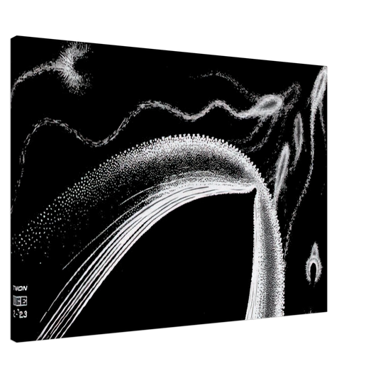 MC Escher - DOLPHINS Canvas - 20x30 cm / 8x12 inches-canvas