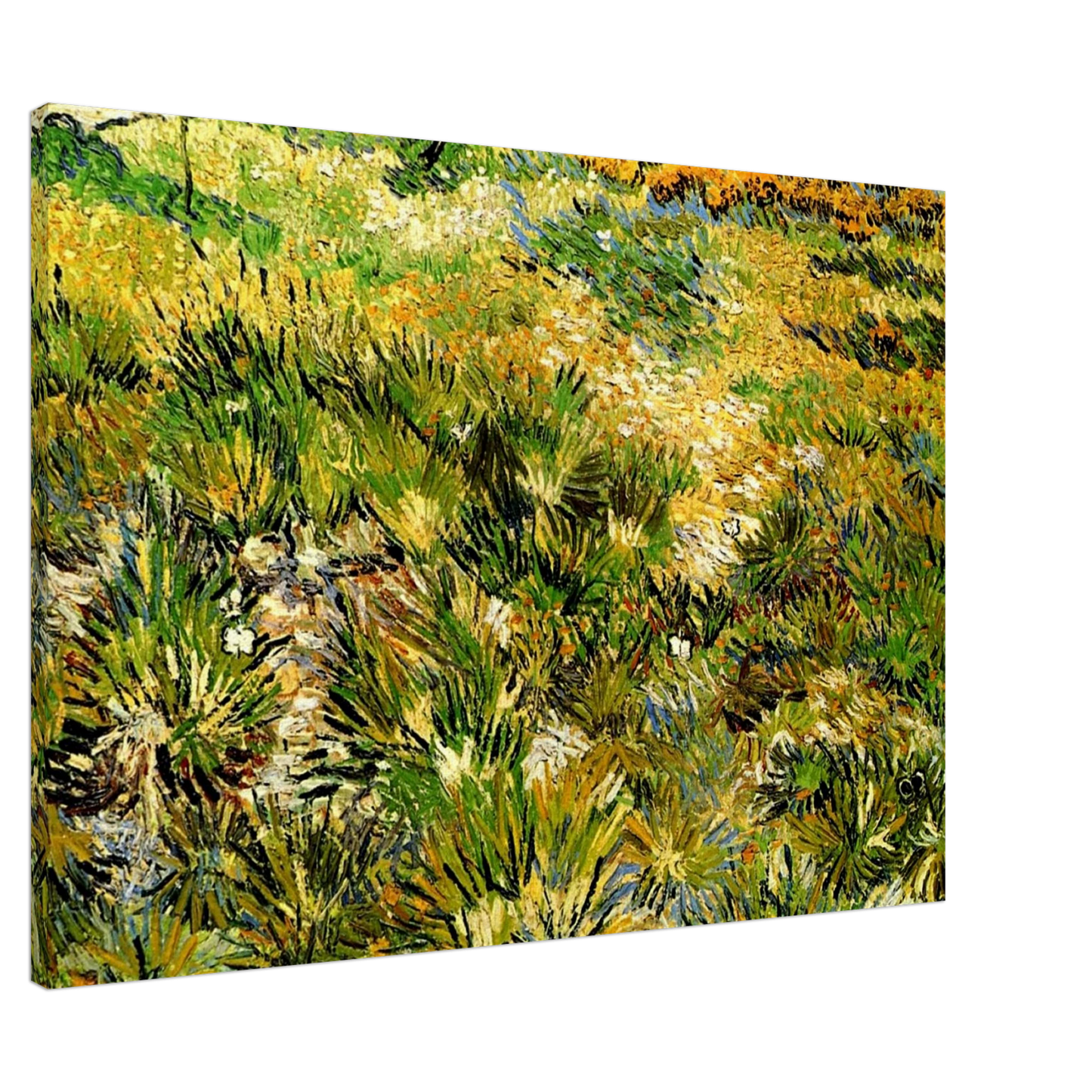 Vincent van Gogh - Meadow in the Garden of Saint-Paul Hospital Canvas - 20x30 cm / 8x12 inches-canvas