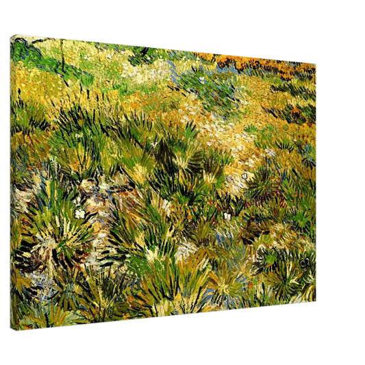 Vincent van Gogh - Meadow in the Garden of Saint-Paul Hospital Canvas - 20x30 cm / 8x12 inches-canvas