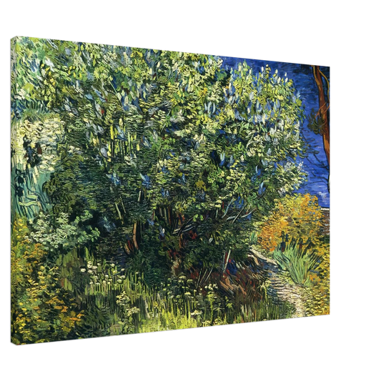 Vincent van Gogh - Lilac Bush Canvas - 20x30 cm / 8x12 inches-canvas