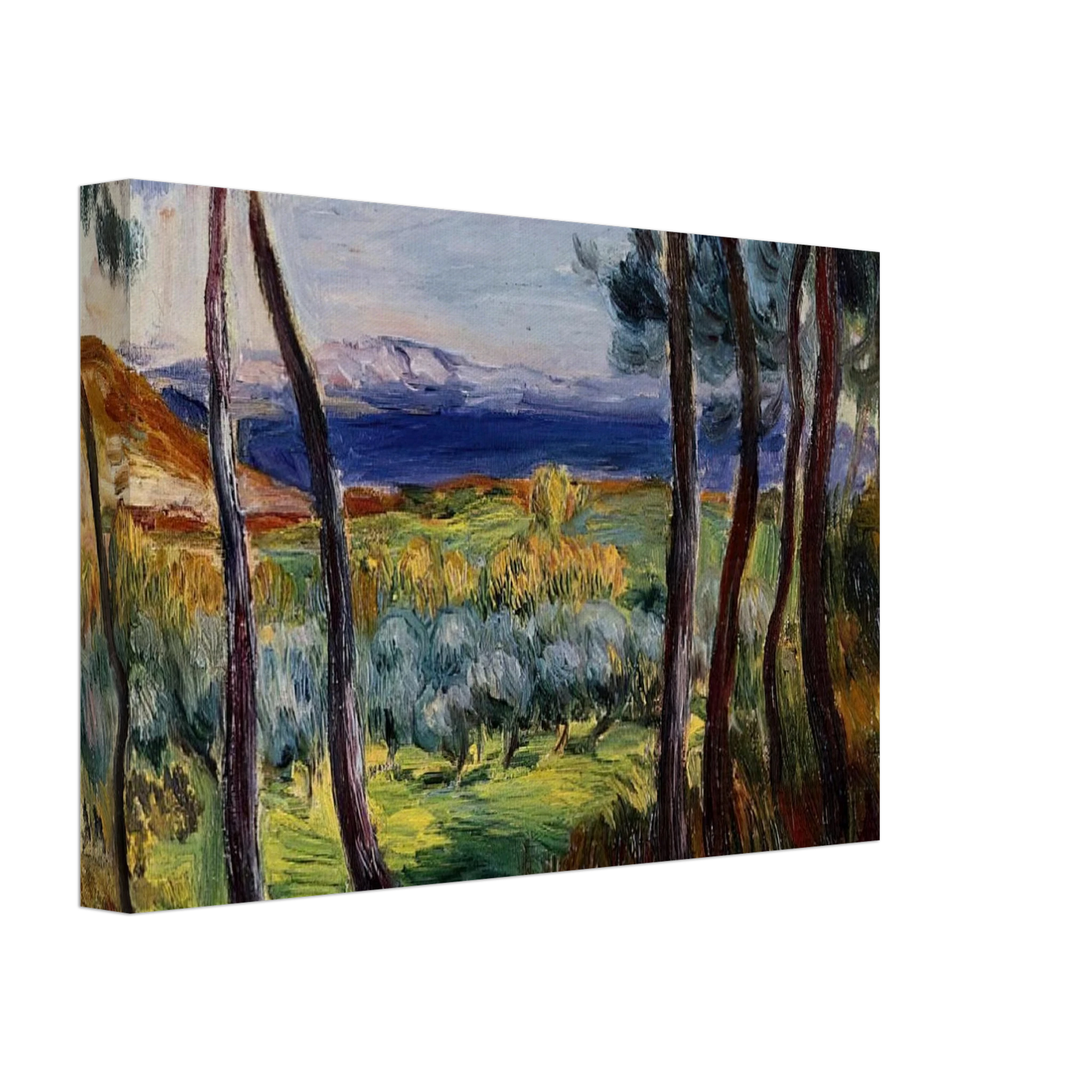 Pierre-Auguste Renoir - Pines in the Vicinity of Cagnes Canvas - 40x60 cm / 16x24 inches-canvas