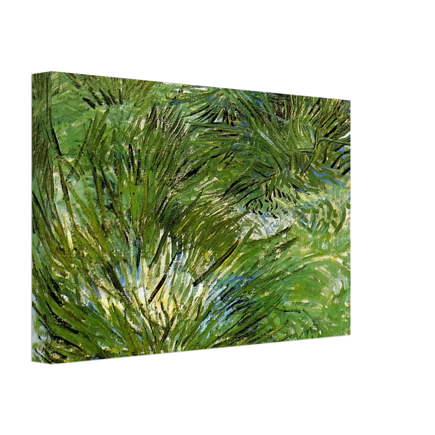 Vincent van Gogh - Clumps of Grass Canvas - 40x60 cm / 16x24 inches-canvas