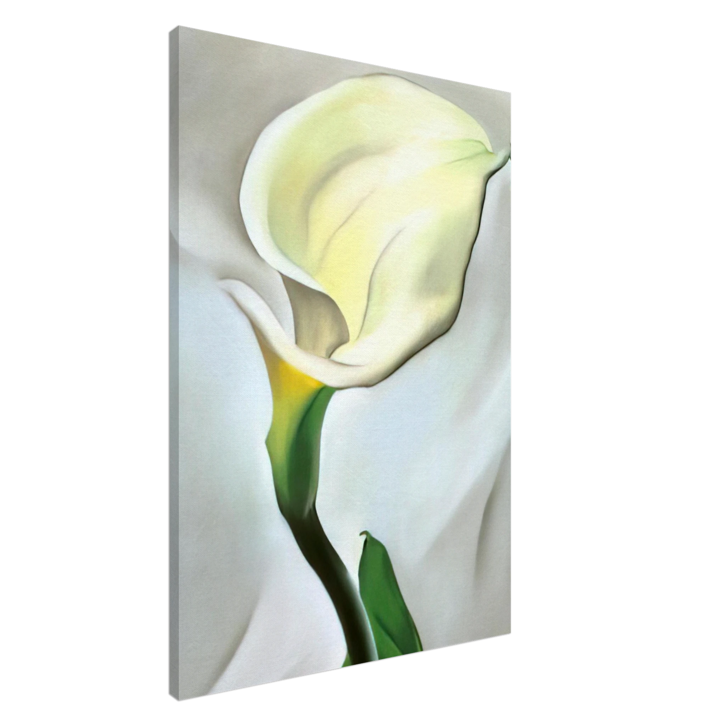Georgia O'Keeffe - Calla Lily Turned Away Canvas - 20x30 cm / 8x12 inches-canvas