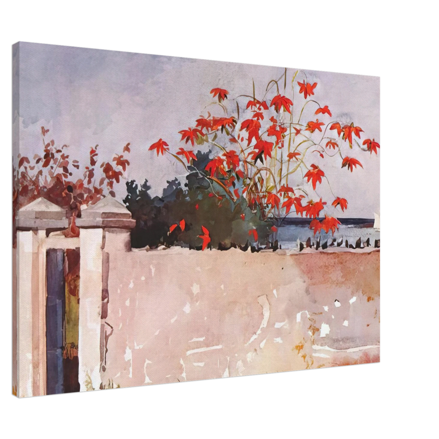 Winslow Homer - A WALL NASSAU Canvas - Default Title-canvas