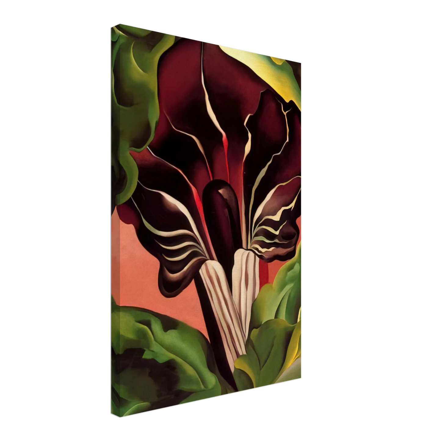 Georgia O'Keeffe - Jack-in-the-Pulpit II Canvas - 40x60 cm / 16x24 inches-canvas