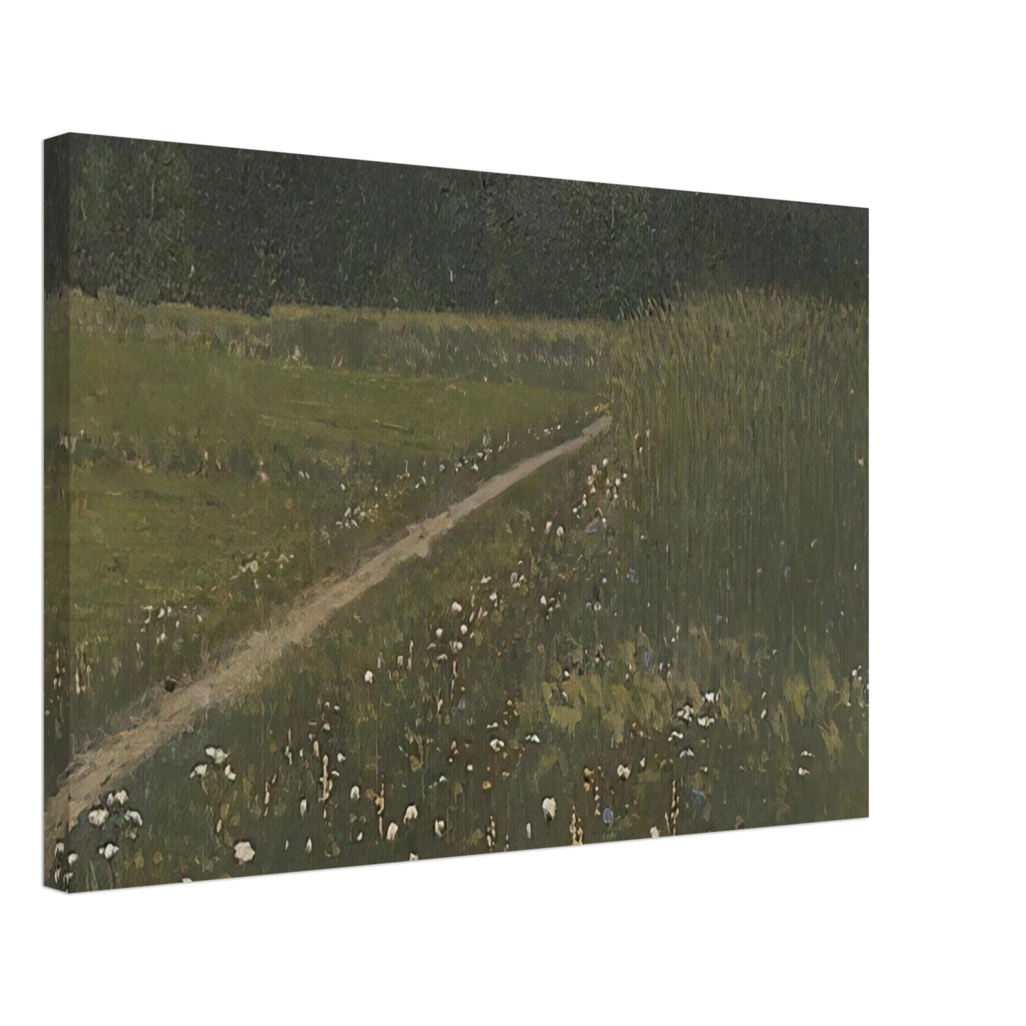 Arkhyp Kuindzhi - Forest Glade Canvas - 40x60 cm / 16x24 inches-canvas