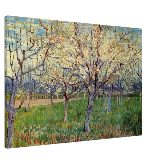 Vincent van Gogh - Orchard with Blossoming Apricot Trees Canvas - 20x30 cm / 8x12 inches-canvas