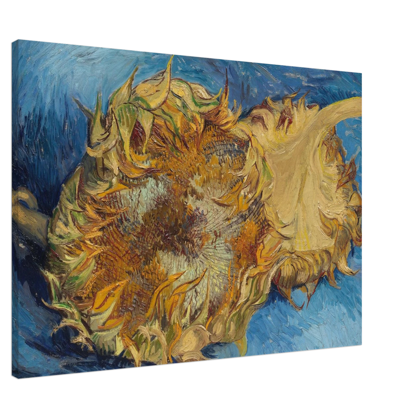 Vincent van Gogh - Still Life with Two Sunflowers Canvas - 20x30 cm / 8x12 inches-canvas