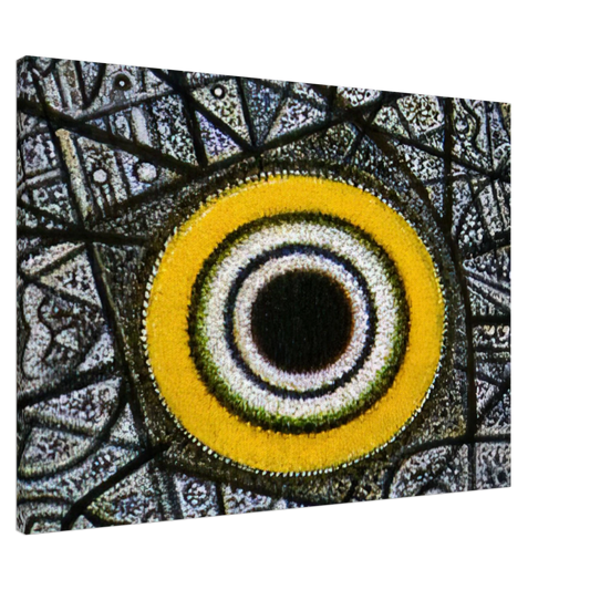 Richard Pousette-Dart - Now a Turning Orb - Abstract Expressionism Canvas - 20x30 cm / 8x12 inches-canvas