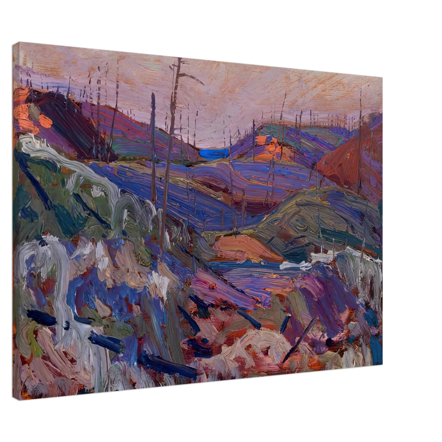 Tom Thomson - FIRE SWEPT HILLS 1915 Canvas - 20x30 cm / 8x12 inches-canvas