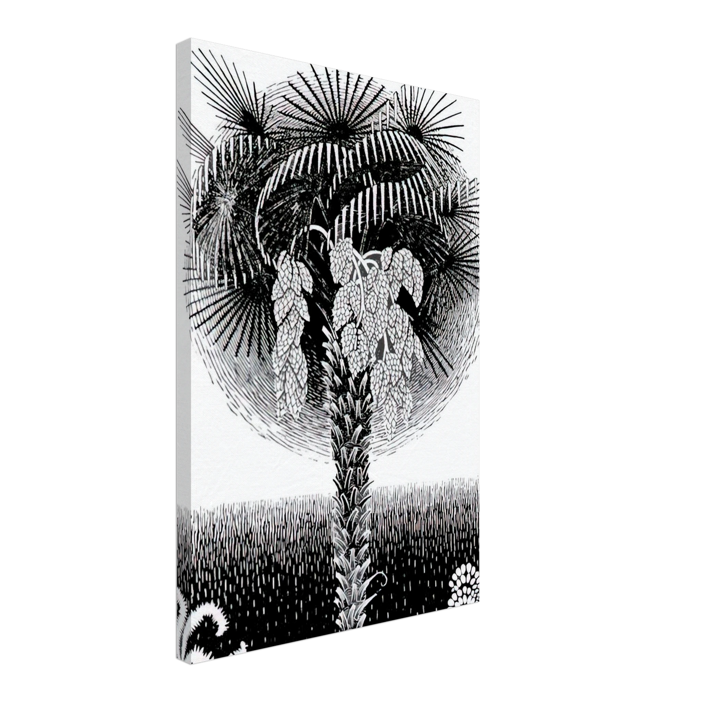 MC Escher - PALM TREE Canvas - 40x60 cm / 16x24 inches-canvas