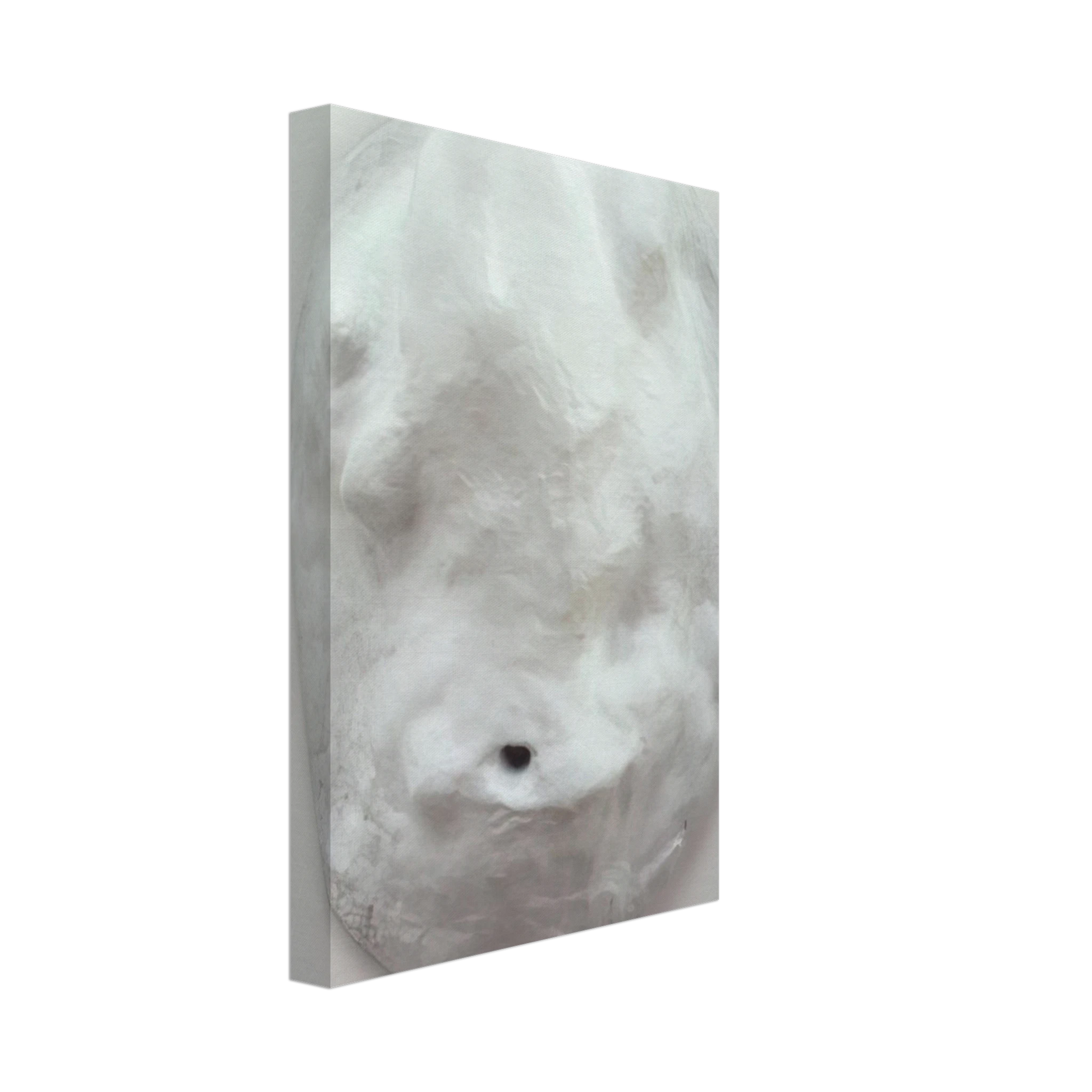 Louise Bourgeois - AMOEBA 1965 Canvas - 40x60 cm / 16x24 inches-canvas