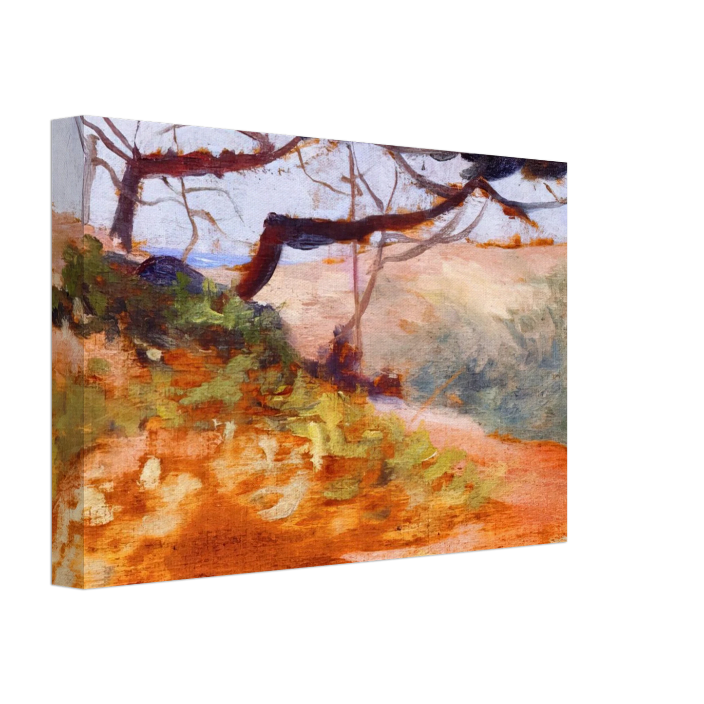 Henri-Edmond Cross - The Bay of Cavalieri Canvas - 40x60 cm / 16x24 inches-canvas