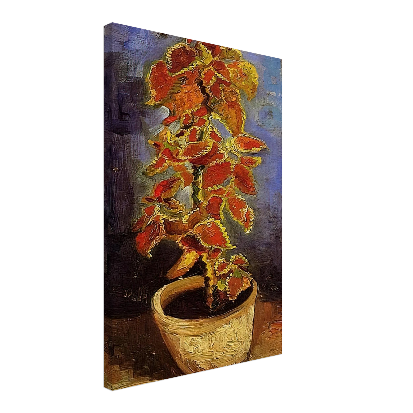 Vincent van Gogh - Coleus Plant in a Flowerpot Canvas - 40x60 cm / 16x24 inches-canvas