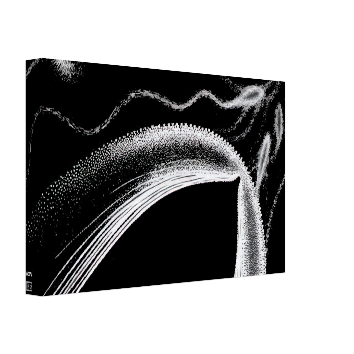 MC Escher - DOLPHINS Canvas - 70x100 cm / 28x40 inches-canvas