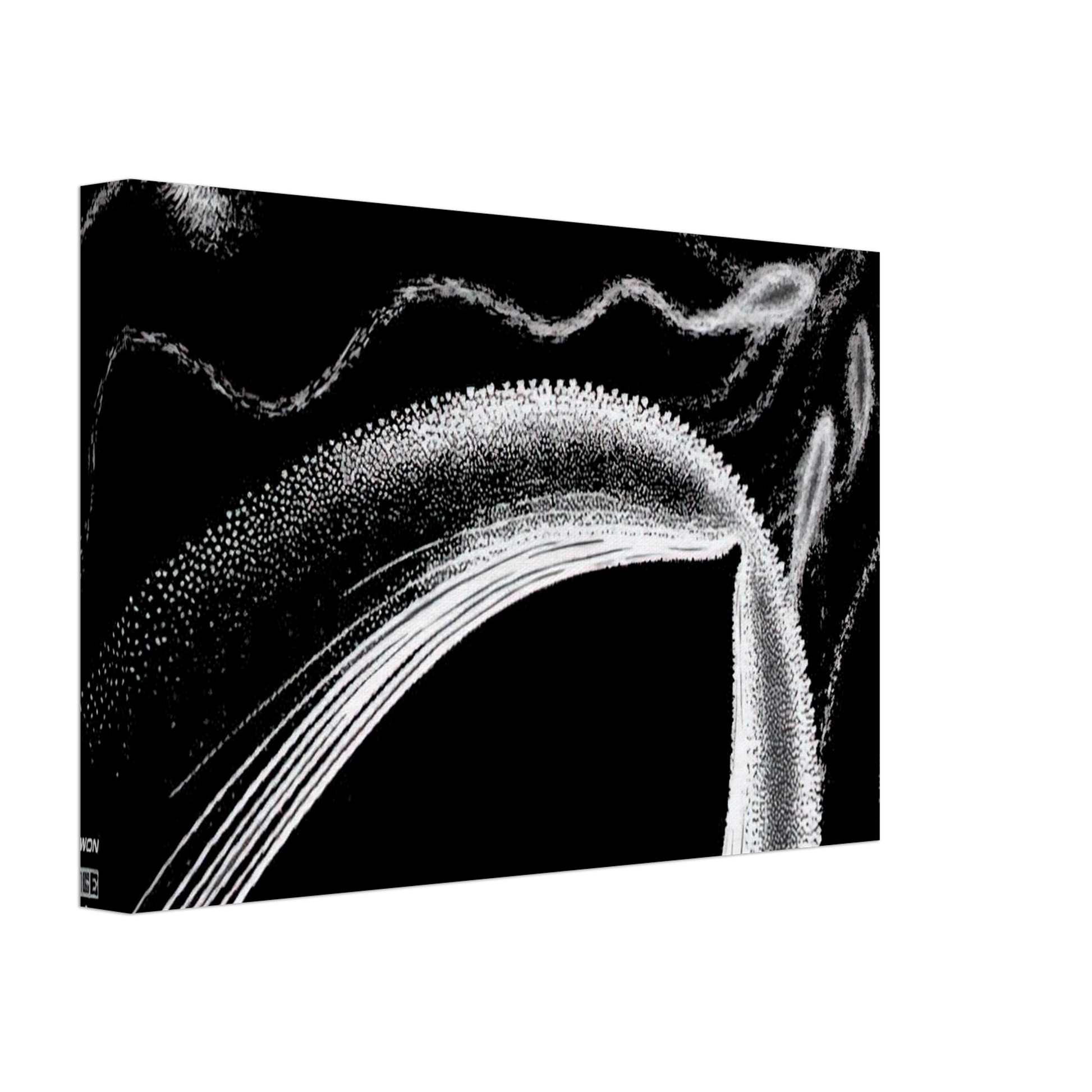 MC Escher - DOLPHINS Canvas - 70x100 cm / 28x40 inches-canvas