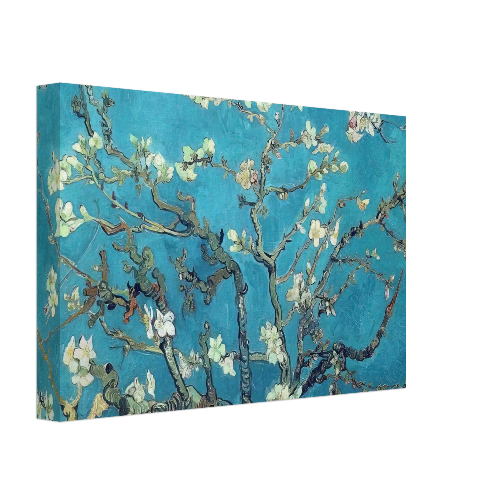 Vincent van Gogh - Branches with Almond Blossom Canvas - 70x100 cm / 28x40 inches-canvas