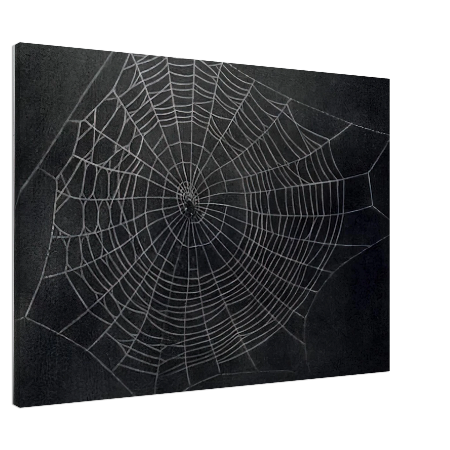 Vija Celmins - UNTITLED SPIDER WEB 2000 Canvas - 20x30 cm / 8x12 inches-canvas