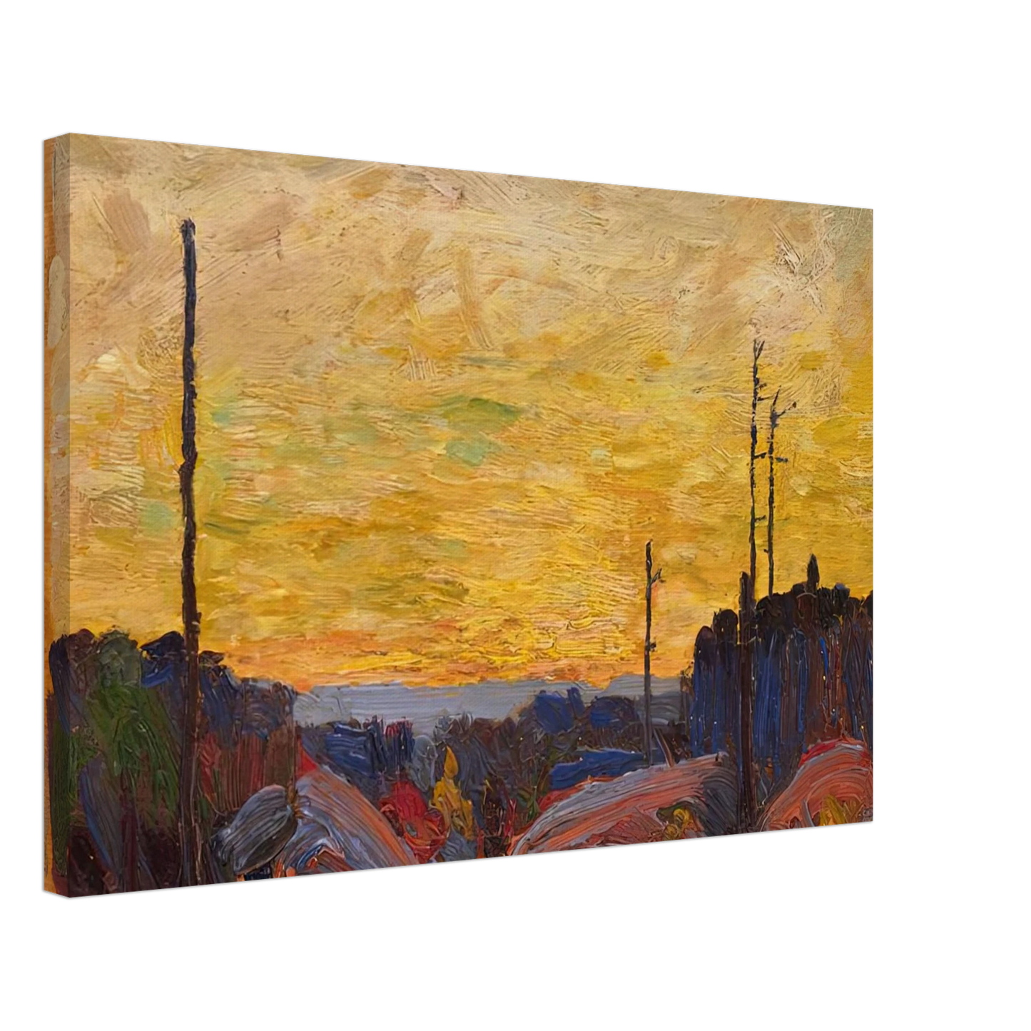 Tom Thomson - BURNED OVER LAND 1916 Canvas - 70x100 cm / 28x40 inches-canvas