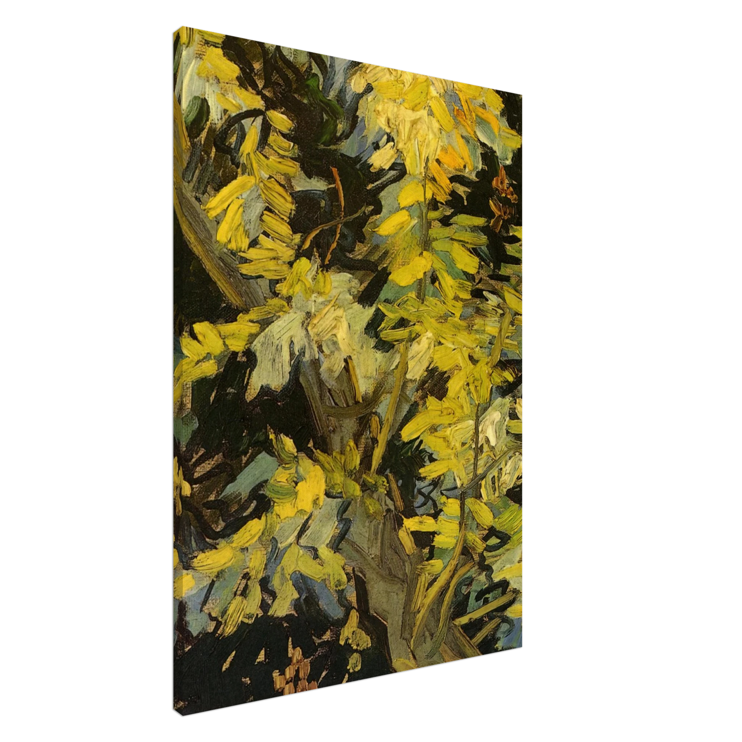Vincent van Gogh - Blossoming Acacia Branches Canvas - 20x30 cm / 8x12 inches-canvas