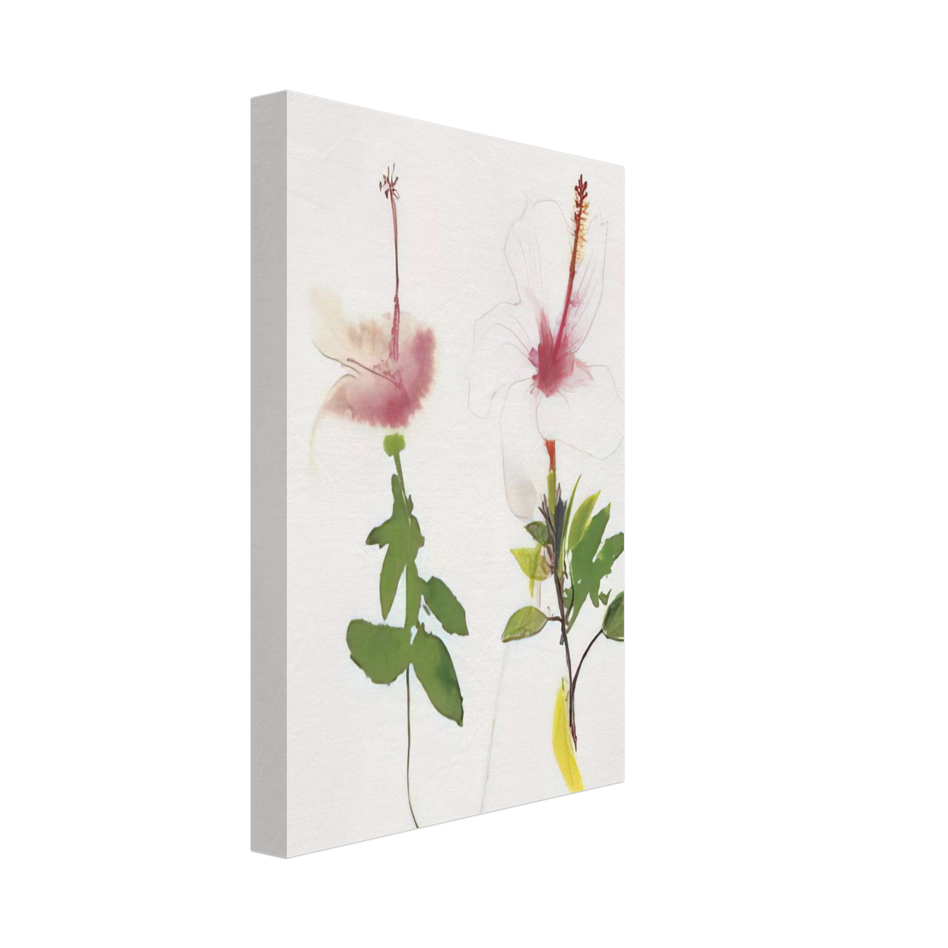 Brett Whiteley - Hibiscus - 1987 Canvas - 70x100 cm / 28x40 inches-canvas