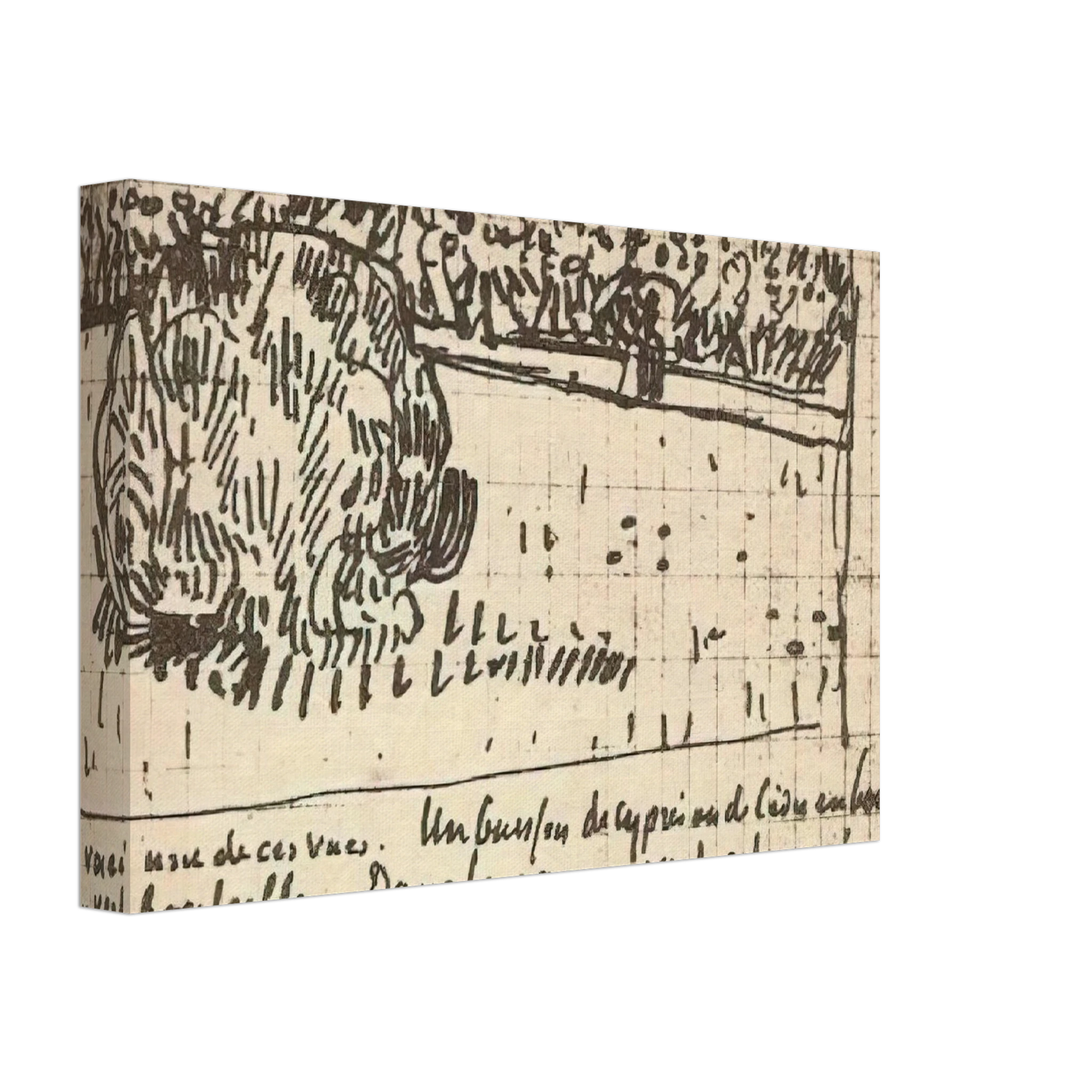 Vincent van Gogh - Round Clipped Shrub in the Public Garden Canvas - 70x100 cm / 28x40 inches-canvas