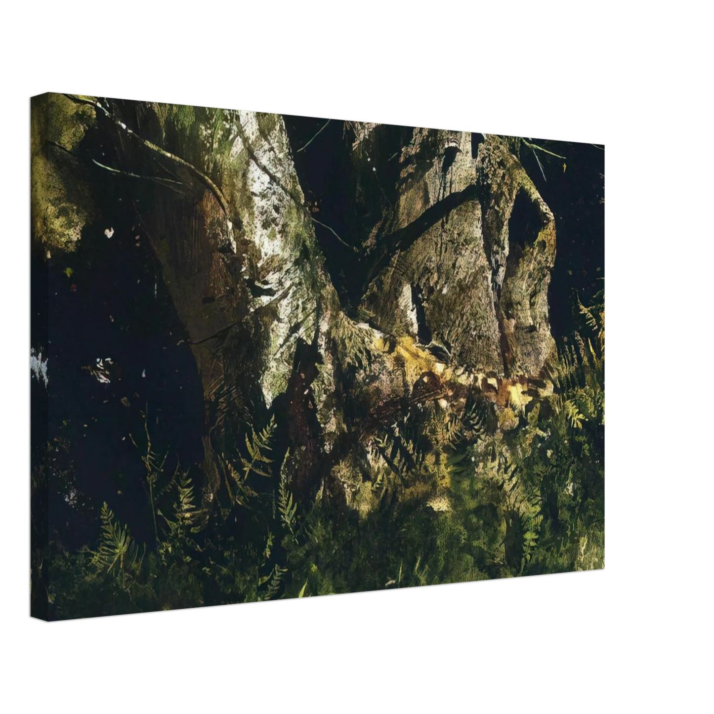 Andrew Wyeth - VIRGIN BIRCH 1982 Canvas - 70x100 cm / 28x40 inches-canvas