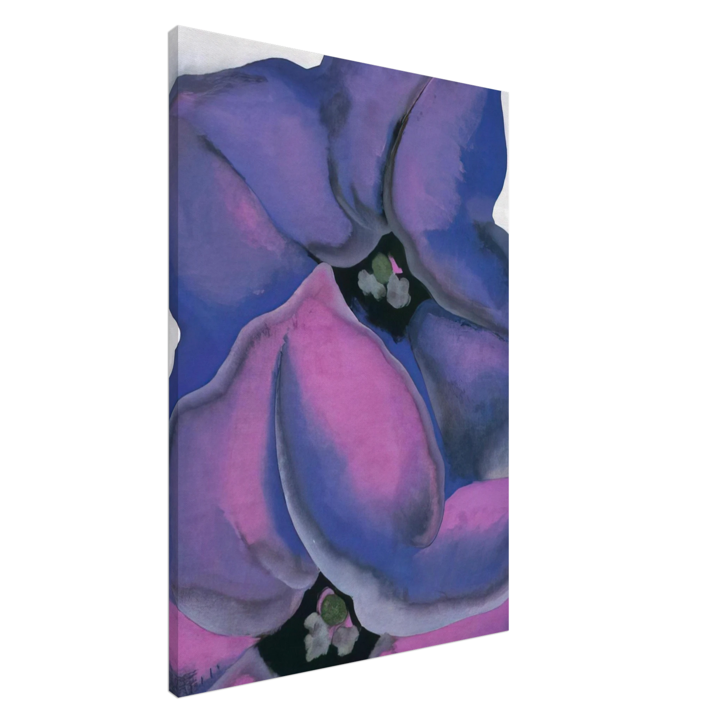 Georgia O'Keeffe - Purple Petunias Canvas - 20x30 cm / 8x12 inches-canvas