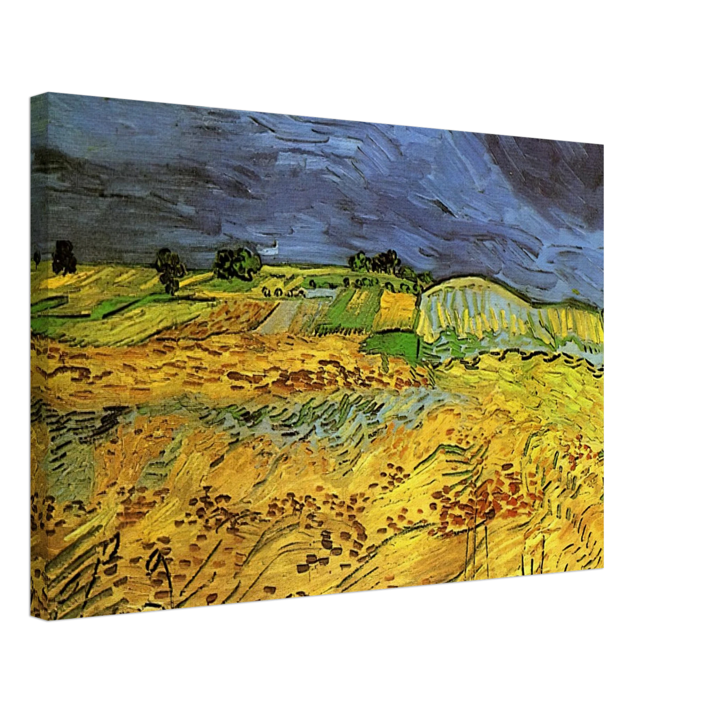 Vincent van Gogh - The Fields Canvas - 70x100 cm / 28x40 inches-canvas