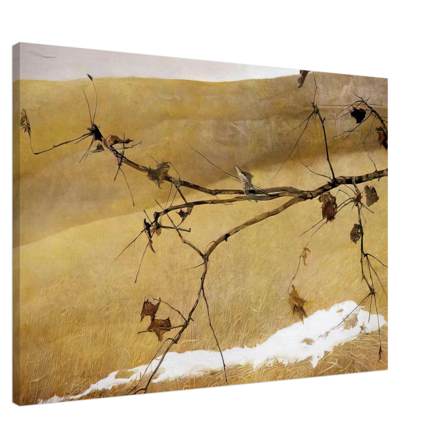 Andrew Wyeth - LONG LIMB Canvas - 20x30 cm / 8x12 inches-canvas