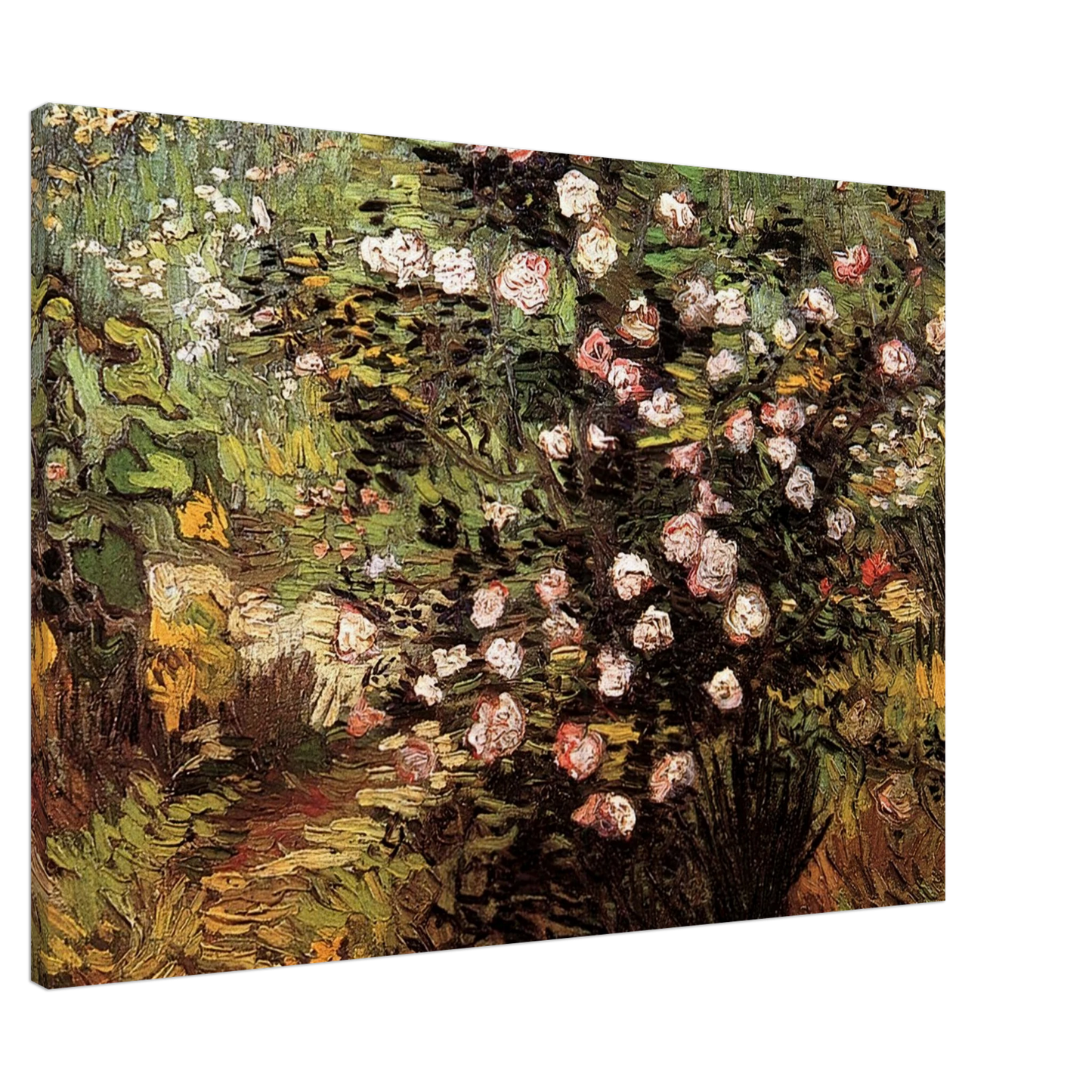 Vincent van Gogh - Rosebush in Blossom Canvas - 20x30 cm / 8x12 inches-canvas