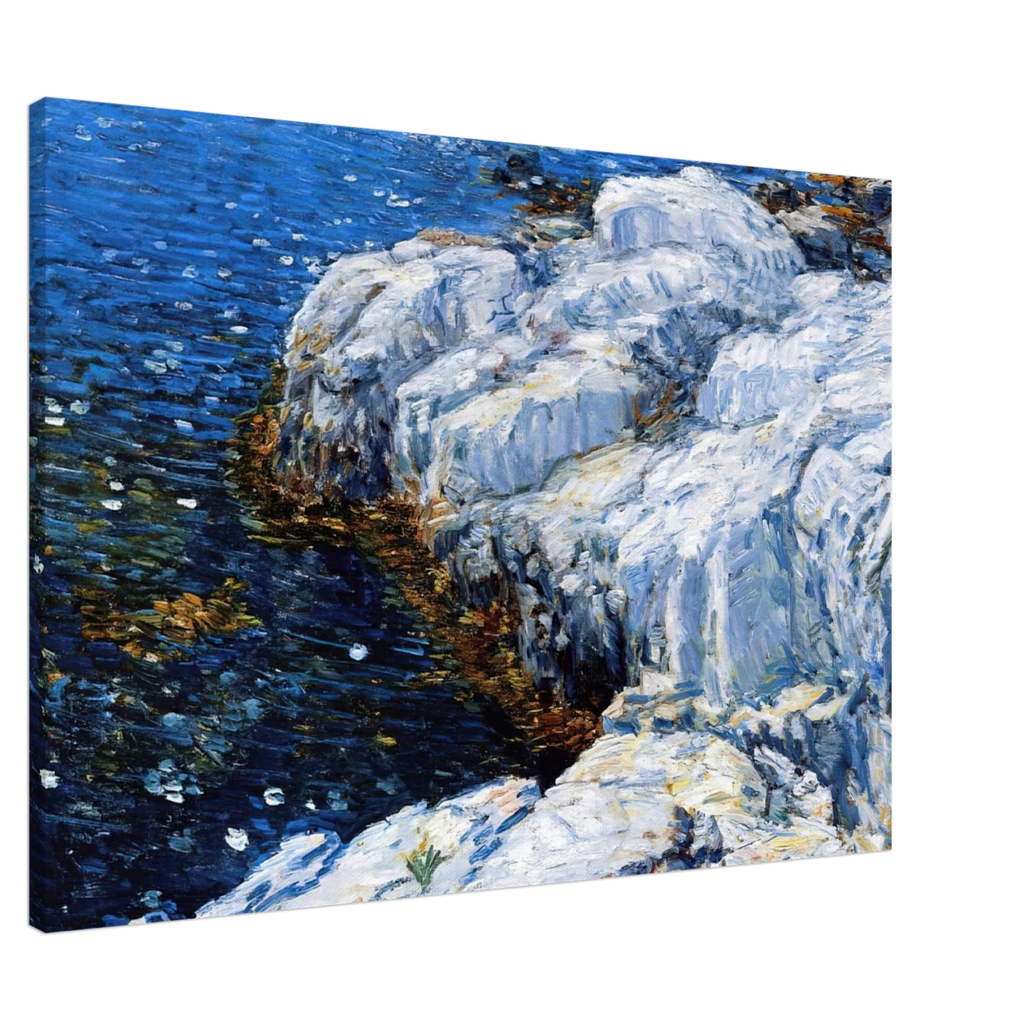 Childe Hassam - Jelly Fish Canvas - 20x30 cm / 8x12 inches-canvas