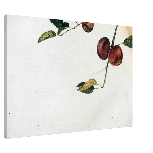 Andrew Wyeth - APPLES ON A BOUGH STUDY BEFORE PICKING Canvas - 20x30 cm / 8x12 inches-canvas