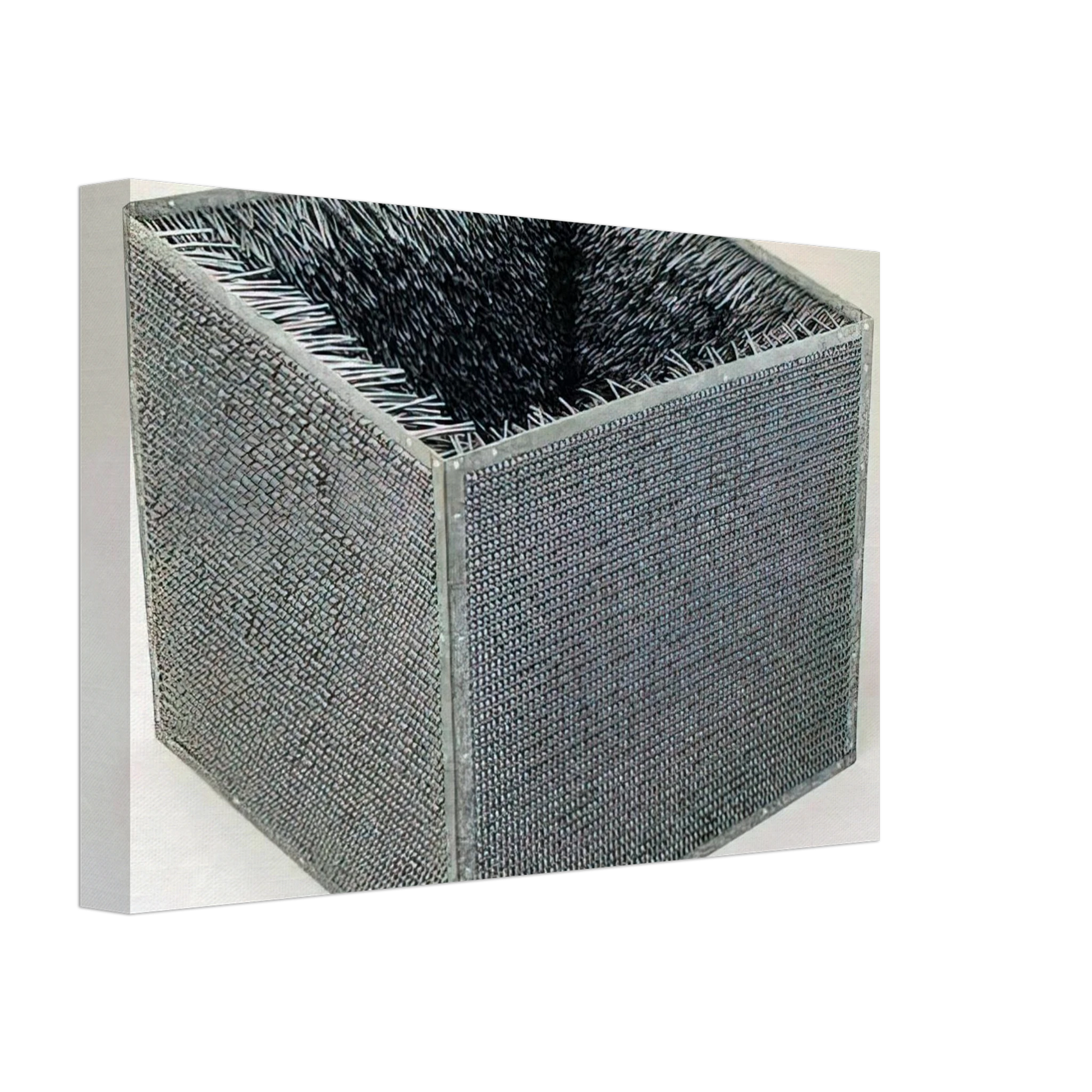 Eva Hesse - ACCESSION II 1968 Canvas - 70x100 cm / 28x40 inches-canvas