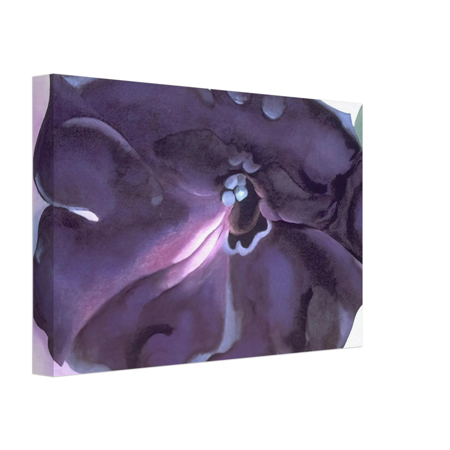 Georgia O'Keeffe - Petunia Canvas - 70x100 cm / 28x40 inches-canvas