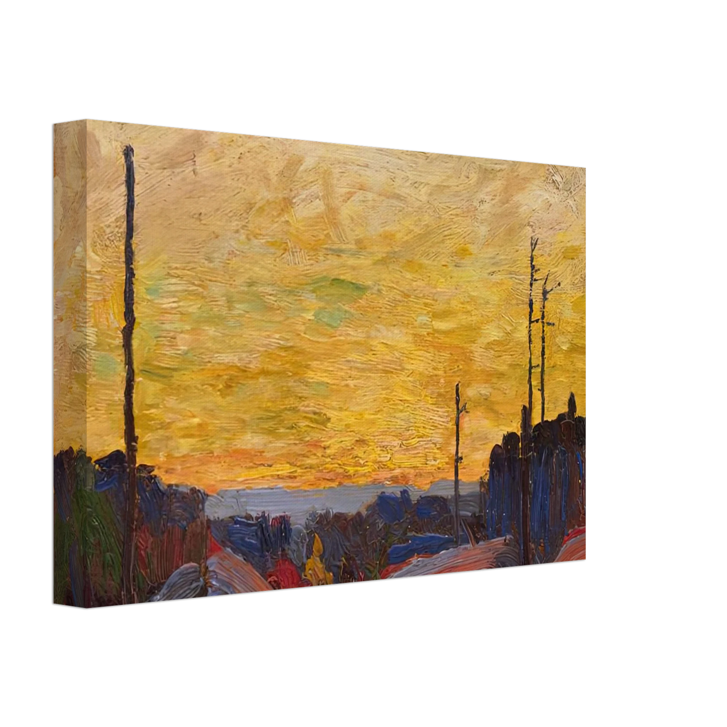 Tom Thomson - BURNED OVER LAND 1916 Canvas - 40x60 cm / 16x24 inches-canvas