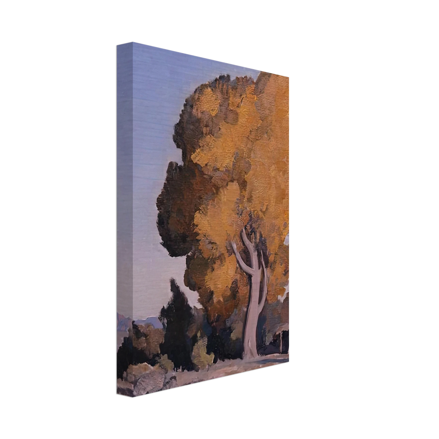 Maynard Dixon - LOW COUNTRY COTTONWOOD 1940 Canvas - 40x60 cm / 16x24 inches-canvas