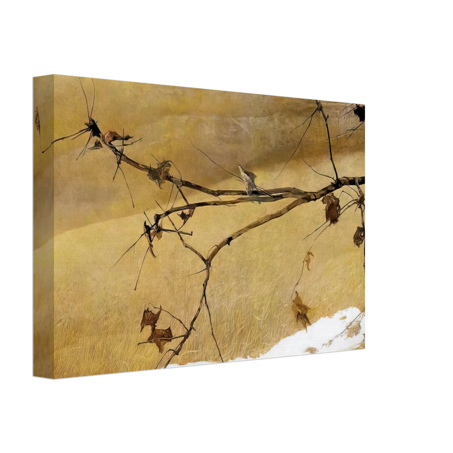 Andrew Wyeth - LONG LIMB Canvas - 70x100 cm / 28x40 inches-canvas