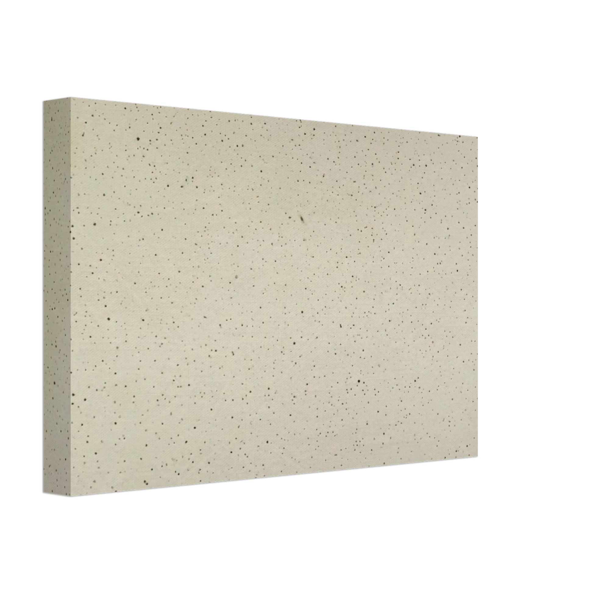 Vija Celmins - NIGHT SKY 2 REVERSED 2002 Canvas - 40x60 cm / 16x24 inches-canvas